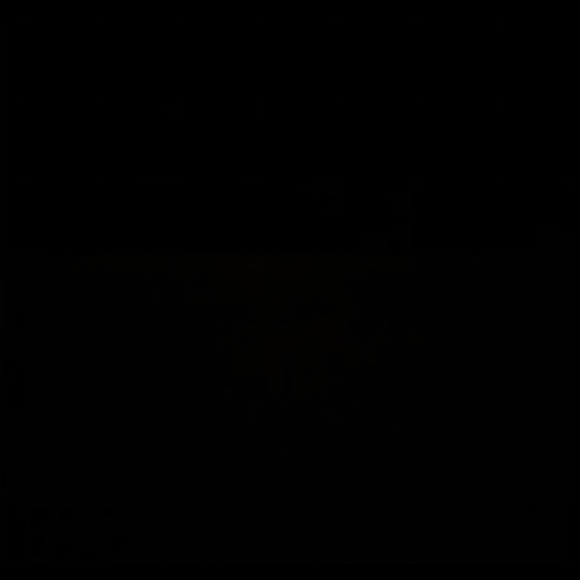 Meet your Posher, Riley - Picture 1 of 1